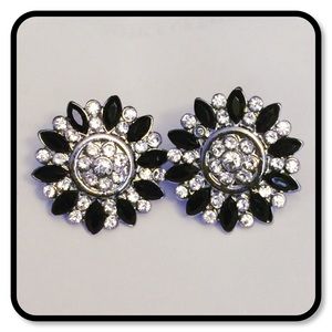 Dressy Crystal Earrings